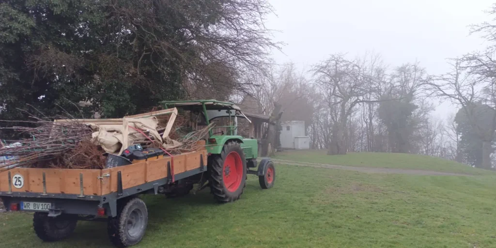 Baumpflanzaktion zum Erhalt der Streuobstwiese