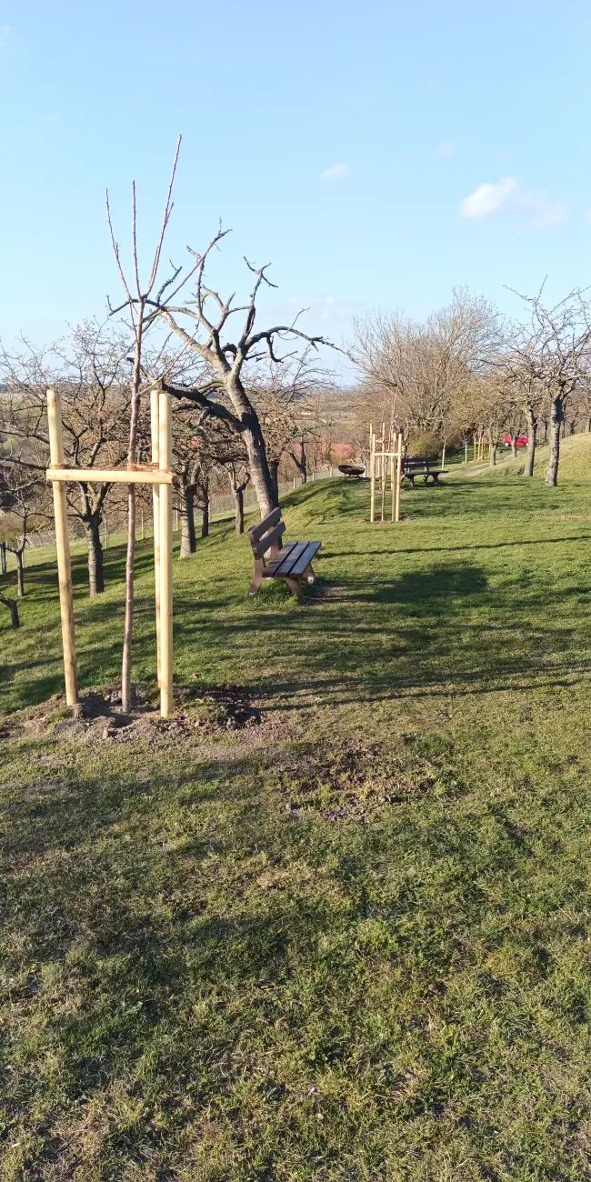 Obstbaumpflanzung2026-28.webp